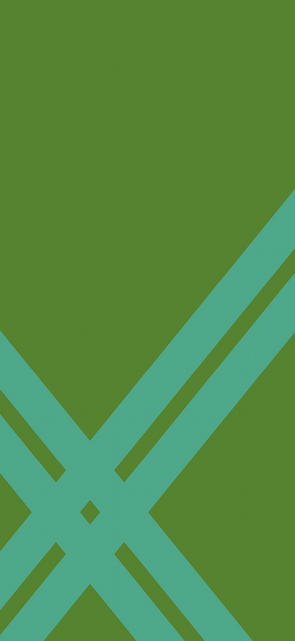 grafische Nahaufnahme des Buchstaben X mit türkisen Linien auf grünem Hintergrund